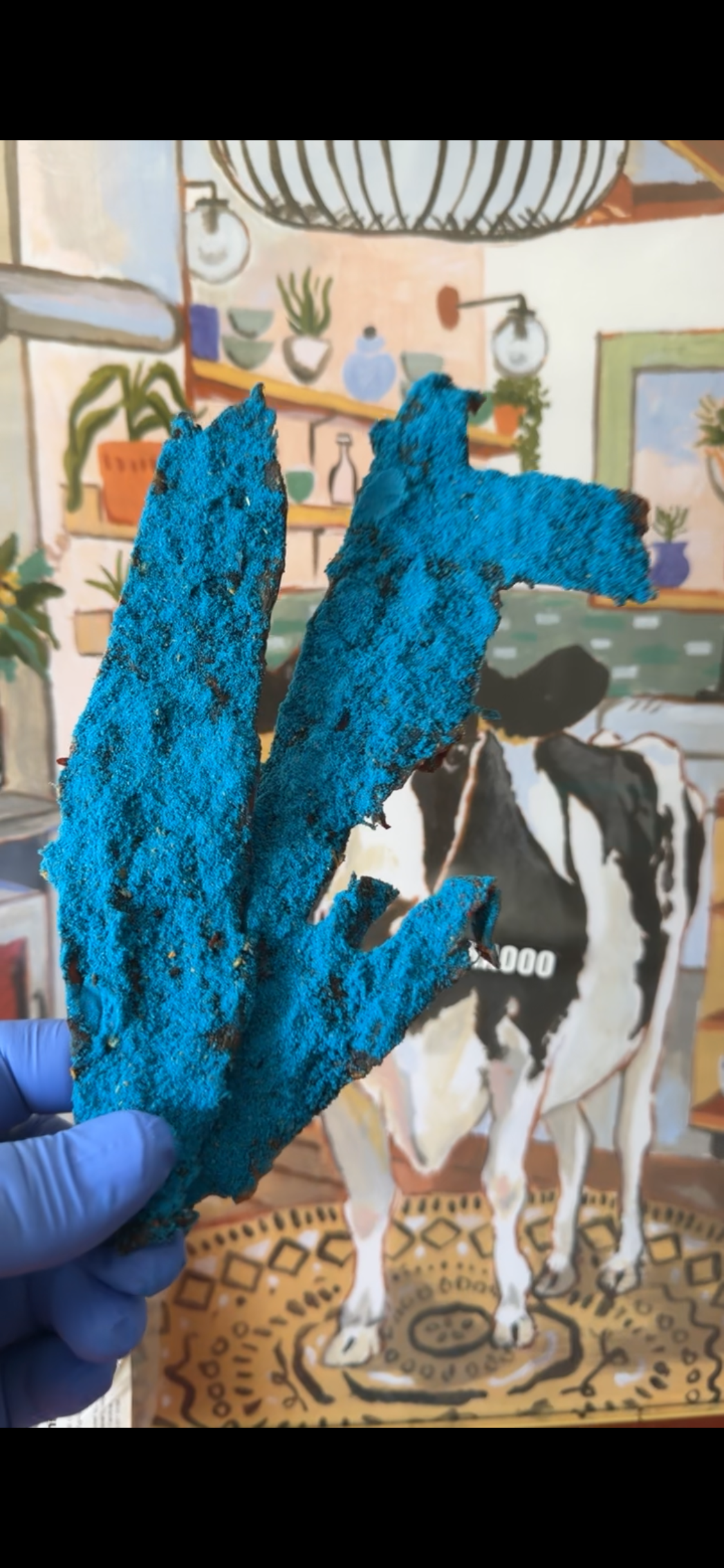 Blue Takis Beef Jerky